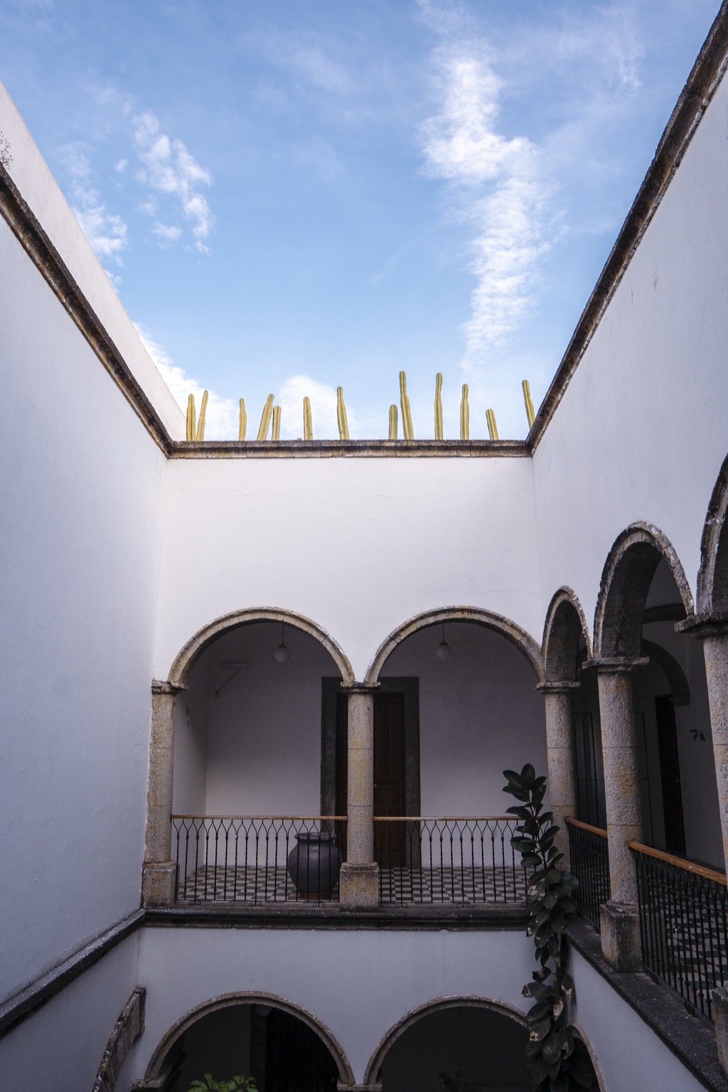 Terraza de la casona Bloomhost
